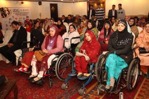 Read more about the article Consultation Meeting of Women with Disabilities 2013